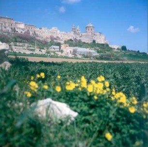 Mdina. Blick auf die Stadt