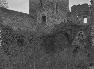 Ruinen von Schloss Boymont : Blick auf die Burgruine von Schloss Boymont