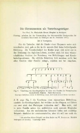 Die Chromosomen als Vererbungsträger