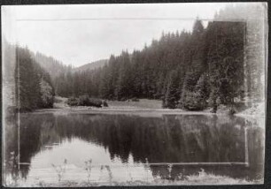Knöpfelstaler Teich bei Ilmenau