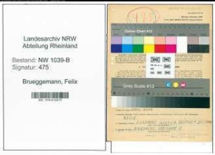Entnazifizierung Felix Brueggemann , geb. 11.07.1864 (Studienrat)