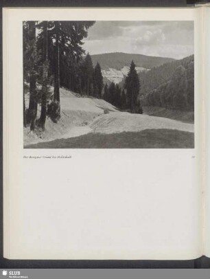 Der Barigauer Grund bei Mellenbach