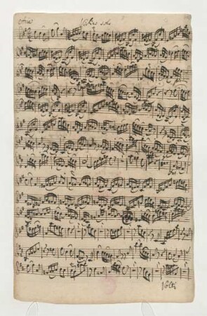Violino solo (Satz 51)