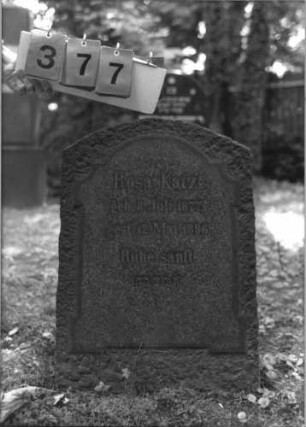 Grabstein 377 [Hahn S. 115 Grab-Nr. 3131]