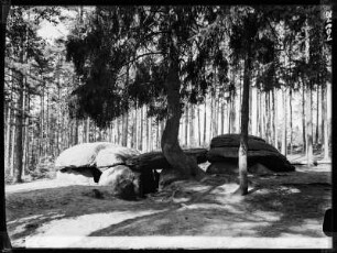 Truppenübungsplatz Bergen. Sieben Steinhäuser bei Südbostel in der Lüneburger Heide