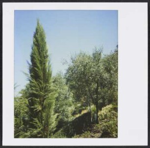Sommersitz der Siebecks in Puy-Saint-Martin