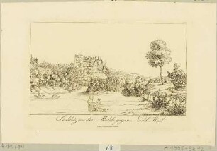 Colditz mit dem Renaissanceschloss oberhalb der Zwickauer Mulde in Mittelsachsen vom Flussufer im Nordwesten