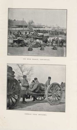 The mule market, Newchwang. Siberian field artillery