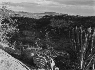 Kopje : Geröll zwischen den Felsen eines Kopjes (Inselberg) (Inselberg) bei Dodoma