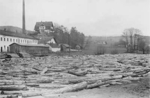 Holzflößerei : Holzflößerei auf dem Fluss Regen