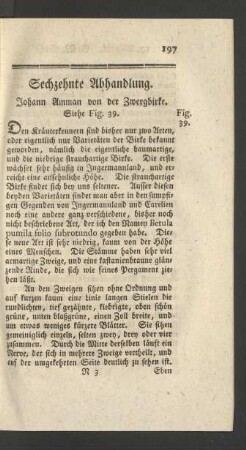 Sechzehnte Abhandlung. Johann Amman von der Zwergbirke.