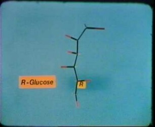 Biochemie - Niedermolekulare Verbindungen II