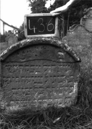 Grabstein 436 (Index: 100102750) Material: Sandstein Zustand: unten stark verwittert, eingesunken, teilweiser Textverlust Maße HxBxT: 72x68x12 cm Beschreibung: Stele, Segmentbogenabschluss, Schriftfeld eingetieft mit unregelmäßigem Abschluss: Grabstein 436