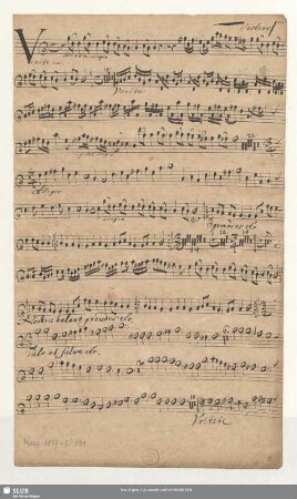 Violino 1mo