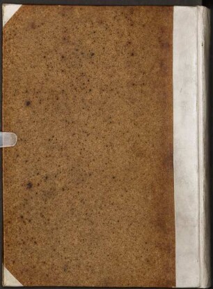 Kitāb as-Sunan. [5. Buch] - BSB Cod.arab. 121