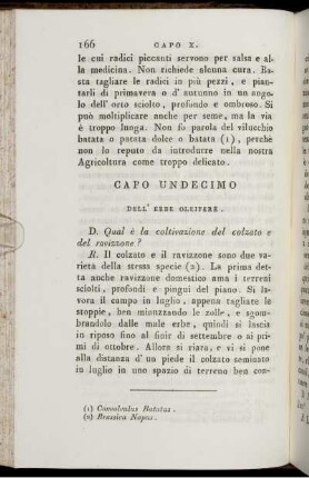 Capo Undecimo. Dell' Erbe Oleifere.
