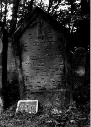 Grabstein 158 [Nir S. 103 Nr. 11.03]