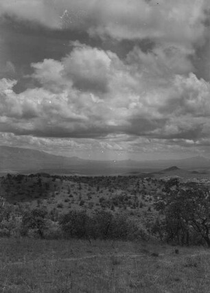 Panorama bei Amaro : Landschaftspanorama bei Amaro mit Bäumen und Sträuchern an den Hängen.