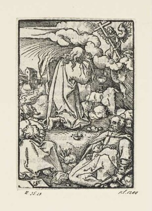 Christus am Ölberg, aus: "Passio unsers Herren Jhesu Christi", Nürnberg 1553, S. D7 verso