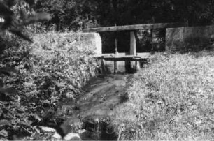 Wilsdruff-Helbigsdorf. Der Vorfluter der Kirstenmühle (Aufnahme Martin Risse)