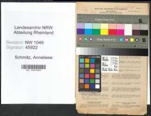 Entnazifizierung Anneliese Schmitz , geb. 31.08.1910 (Fuersorgerin)