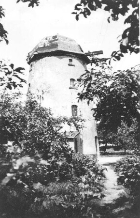 Otterwisch-Großbuch. Turmholländer, Repro