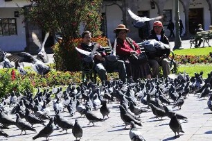 Cusco - Tauben und Menschen : Tauben und Menschen auf der Plaza de Armas. Aufgenommen in Cusco am 1. September 2011