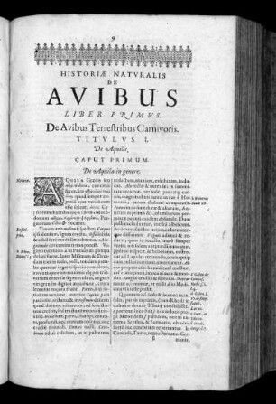 Historiae Naturalis de Avibus Liber Primus. De Avibus Terrestribus Carnivoris