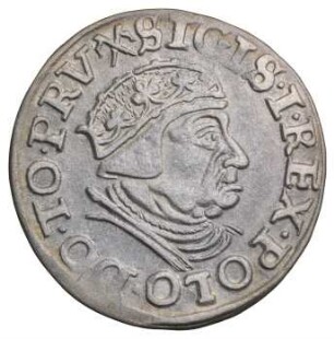 Polen: Dreigröscher 1539