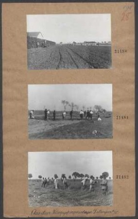 Kriegsgefangenenlager Dillingen a.D. (Feldarbeiten)