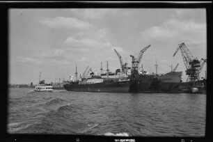 Ursula Peters (1933), Peters, Hamburg