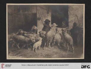 Zügel, Heinrich von