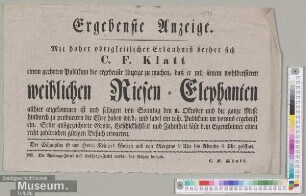 Weiblichen Riesen-Elephanten