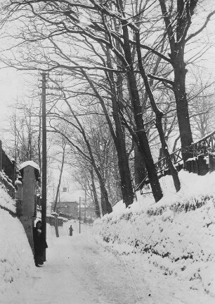 Stadtweg in Loschwitz vor der Verbreiterung : Stadtweg in Loschwitz vor der Verbreiterung. Fotografie von J. Aurig. Privatbesitz