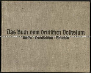 Aufsatzsammlung über das Deutschtum im In- und Ausland