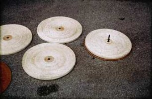 Fotografie: Studienreise, Gartenbau