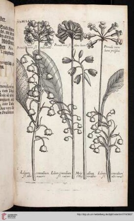 Tafeln 1-383