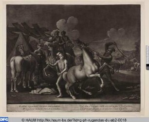 Soldaten zähmen einen Hengst