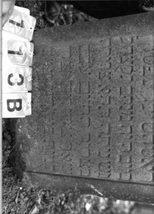 Grabstein 113 (Index: 99795586) Maße HxBxT: 92x55x10 cm Symbolik: Blüte: Grabstein 113B