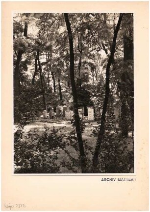 Reichsgartenschau 1939 auf dem Killesberg, Stuttgart: Friedhof
