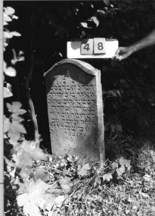Grabstein 48 (Index: 99796363) Material: Sandstein Zustand: gut Maße HxBxT: 90x42x10 cm Beschreibung: Stele, Konvexbogenabschluß mit kleiner Verdachung Symbolik: Ranke, Blüte: Grabstein 48