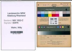 Entnazifizierung Willy Wehn, geb. 01.04.1897 (Kaufmann)