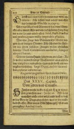 Das XXXV. Capitel. Von Zorn und Straffe.