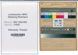 Entnazifizierung Theodor Wienands , geb. 01.11.1899 (Arbeiter)