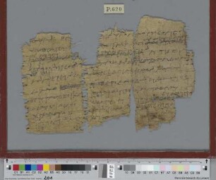 Fragment