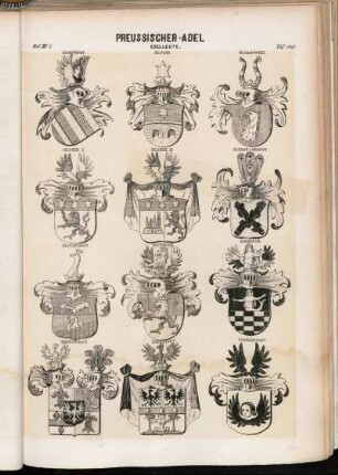 Taf. 166. Elmendorf. - Elpons. - Elsanowski. - Elsner I. - Elsner II. -Elsner v. Gronow. - Elstermann. - Elterlein. - Emmerih. - Emminghaus. - Enckevort. - Engelbrecht