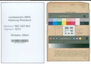 Entnazifizierung Albert Schwarz , geb. 20.05.1905 (Betriebsingenieur)