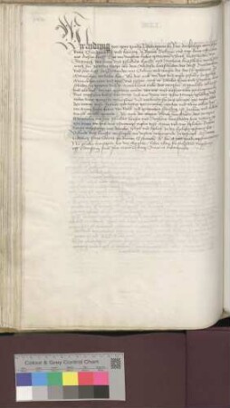 Ulrich Landschad von Steinach