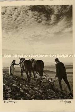 Bauern beim Pflügen