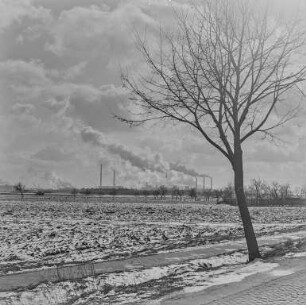 Schwarze Pumpe : Blick zum Kraftwerk Schwarze Pumpe
